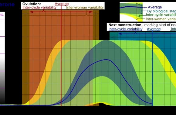 Najlepsze komputery cyklu ranking – wybierz skuteczną metodę monitorowania płodności